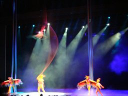 ศึกษาดูงานประเทศจีน